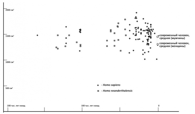 Иллюстрация к книге — Мифы об эволюции человека [i_030.jpg]