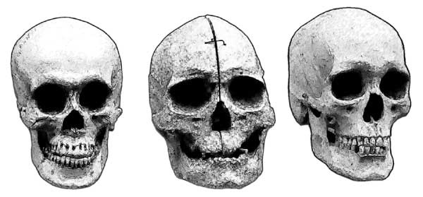 Иллюстрация к книге — Мифы об эволюции человека [i_032.jpg]