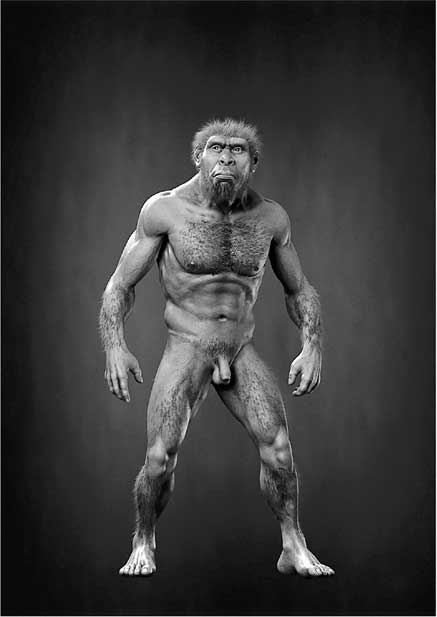 Иллюстрация к книге — Мифы об эволюции человека [i_033.jpg]