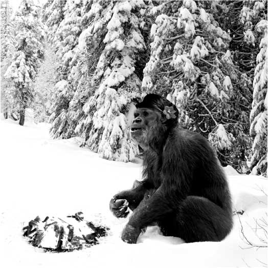 Иллюстрация к книге — Мифы об эволюции человека [i_046.jpg]