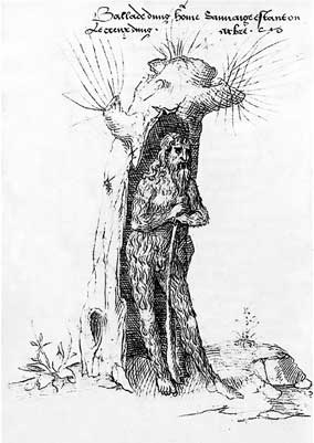 Иллюстрация к книге — Мифы об эволюции человека [i_061.jpg]