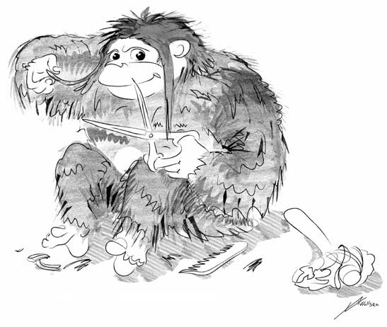 Иллюстрация к книге — Мифы об эволюции человека [i_063.jpg]