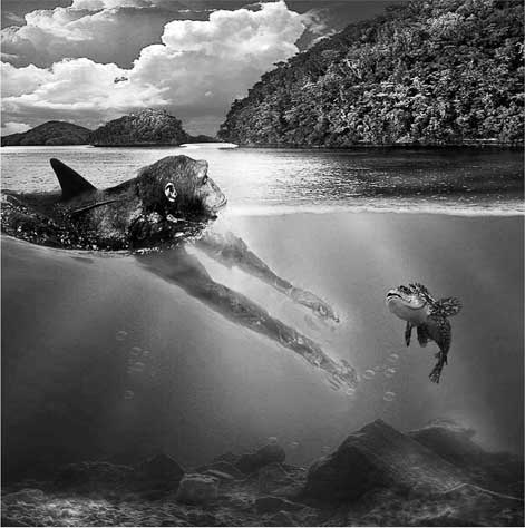 Иллюстрация к книге — Мифы об эволюции человека [i_069.jpg]