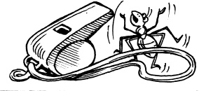 Иллюстрация к книге — Чудеса на магической неделе. Приключения бяки [_105.jpg]