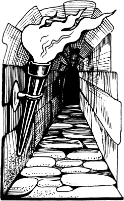 Иллюстрация к книге — Чудеса на магической неделе. Приключения бяки [_82.jpg]