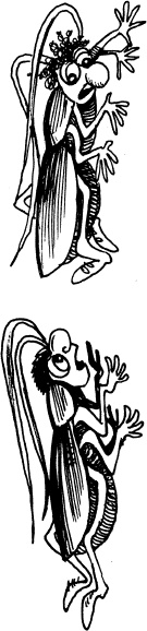 Иллюстрация к книге — Тайны Чёрных Холмов [_69.jpg]