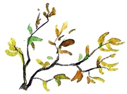 Иллюстрация к книге — Каос и Бьёрнар [i_022.jpg]