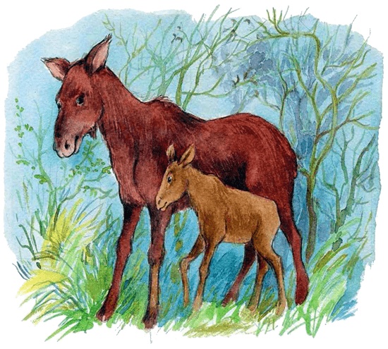 Иллюстрация к книге — Каос и Бьёрнар [i_035.jpg]