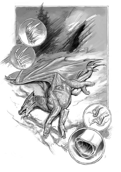 Иллюстрация к книге — Естественная история драконов [i_007.jpg]