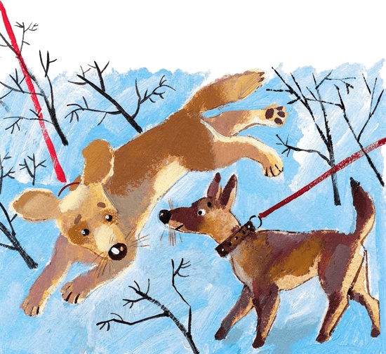 Иллюстрация к книге — Знакомьтесь, Гюро! [i_020.jpg]