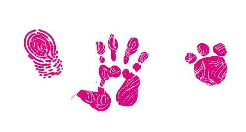 Иллюстрация к книге — Успеть сделать, пока ребенок не вырос. Приключения, игры, опыты [i_073.jpg]