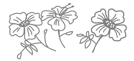 Иллюстрация к книге — Успеть сделать, пока ребенок не вырос. Приключения, игры, опыты [i_079.jpg]