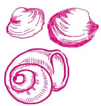 Иллюстрация к книге — Успеть сделать, пока ребенок не вырос. Приключения, игры, опыты [i_164.jpg]