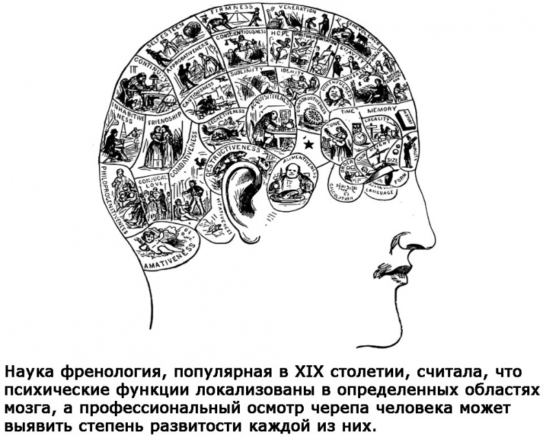 Иллюстрация к книге — Два игрока на одном поле мозга [i_005.jpg]