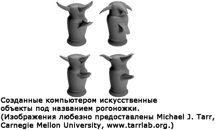 Иллюстрация к книге — Два игрока на одном поле мозга [i_025.jpg]