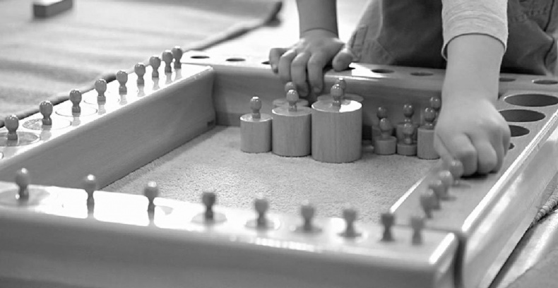 Иллюстрация к книге — Законы естественного развития ребенка [i_005.jpg]