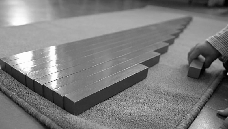 Иллюстрация к книге — Законы естественного развития ребенка [i_009.jpg]