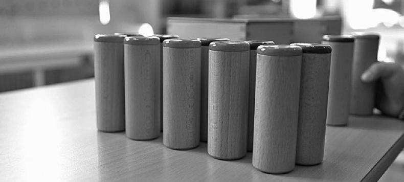 Иллюстрация к книге — Законы естественного развития ребенка [i_010.jpg]