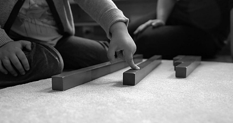 Иллюстрация к книге — Законы естественного развития ребенка [i_021.jpg]