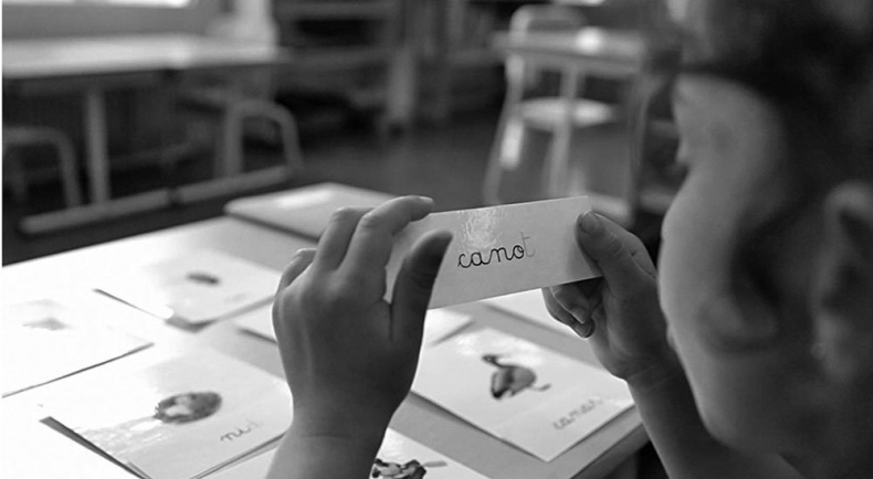 Иллюстрация к книге — Законы естественного развития ребенка [i_039.jpg]