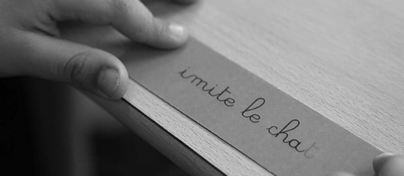 Иллюстрация к книге — Законы естественного развития ребенка [i_043.jpg]