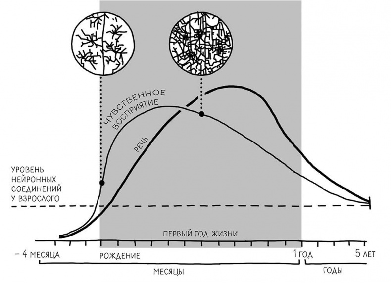 Иллюстрация к книге — Законы естественного развития ребенка [i_046.jpg]