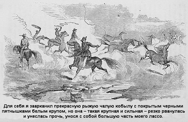 Иллюстрация к книге — В индейских прериях и тылах мятежников. (Воспоминания техасского рейнджера и разведчика) [i_006.jpg]