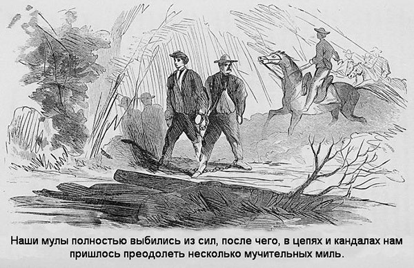 Иллюстрация к книге — В индейских прериях и тылах мятежников. (Воспоминания техасского рейнджера и разведчика) [i_023.jpg]