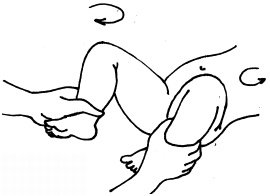 Иллюстрация к книге — Энциклопедия методов раннего развития [i_006.jpg]