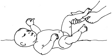 Иллюстрация к книге — Энциклопедия методов раннего развития [i_012.jpg]