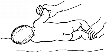 Иллюстрация к книге — Энциклопедия методов раннего развития [i_021.jpg]