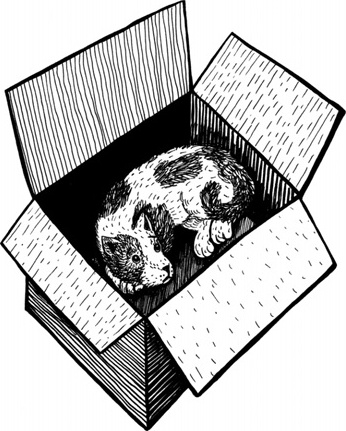 Иллюстрация к книге — Душа вашего ребенка. Сорок вопросов родителей о детях [i_033.jpg]