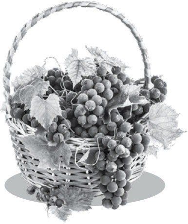 Иллюстрация к книге — Умный виноградник без хлопот [_1.jpg]