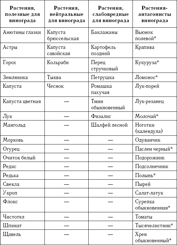 Иллюстрация к книге — Умный виноградник без хлопот [_127.jpg]