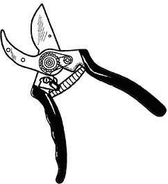 Иллюстрация к книге — Умный виноградник без хлопот [_23.jpg]