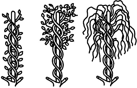 Иллюстрация к книге — Умный виноградник без хлопот [_79.jpg]