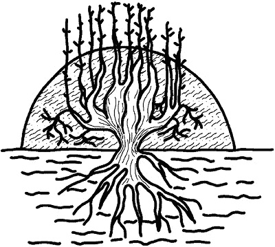 Иллюстрация к книге — Умный виноградник без хлопот [_84.jpg]