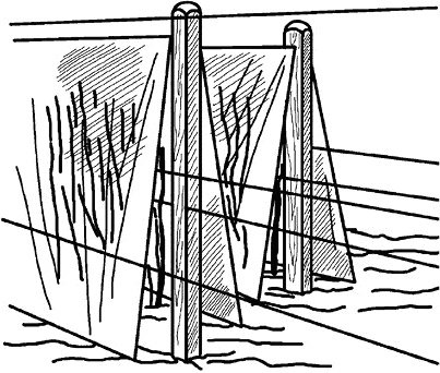 Иллюстрация к книге — Умный виноградник без хлопот [_88.jpg]