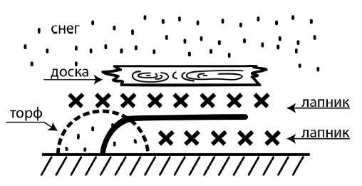 Иллюстрация к книге — Обрезка винограда. Проверенные способы формировки укрывного винограда в средней полосе России [i_011.jpg]