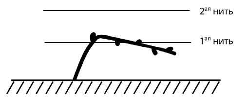 Иллюстрация к книге — Обрезка винограда. Проверенные способы формировки укрывного винограда в средней полосе России [i_013.jpg]