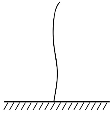 Иллюстрация к книге — Обрезка винограда. Проверенные способы формировки укрывного винограда в средней полосе России [i_018.jpg]