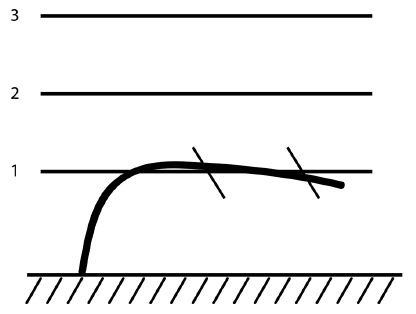Иллюстрация к книге — Обрезка винограда. Проверенные способы формировки укрывного винограда в средней полосе России [i_019.jpg]