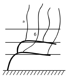 Иллюстрация к книге — Обрезка винограда. Проверенные способы формировки укрывного винограда в средней полосе России [i_029.jpg]