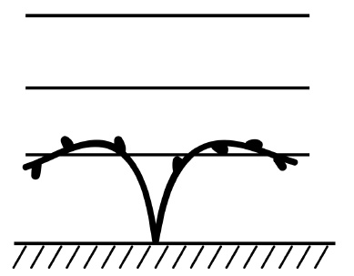 Иллюстрация к книге — Обрезка винограда. Проверенные способы формировки укрывного винограда в средней полосе России [i_033.jpg]