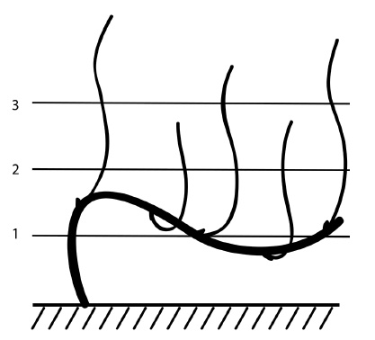 Иллюстрация к книге — Обрезка винограда. Проверенные способы формировки укрывного винограда в средней полосе России [i_059.jpg]