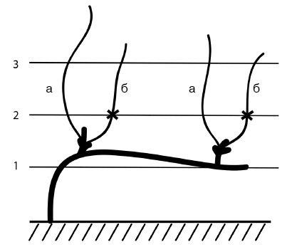 Иллюстрация к книге — Обрезка винограда. Проверенные способы формировки укрывного винограда в средней полосе России [i_061.jpg]