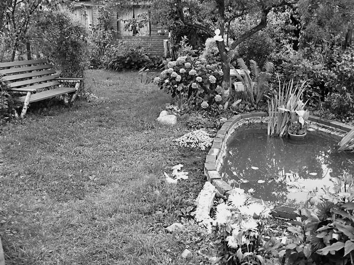 Иллюстрация к книге — Плодовые кусты вашего сада [i_001.jpg]