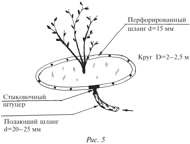 Иллюстрация к книге — Плодовые кусты вашего сада [i_007.jpg]