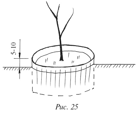 Иллюстрация к книге — Плодовые кусты вашего сада [i_033.jpg]
