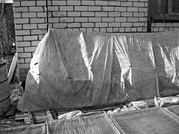 Иллюстрация к книге — Виноград вашего сада в средней полосе России [_38.jpg]